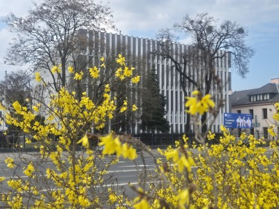 Kliknij, aby powiększyć zdjęcie.